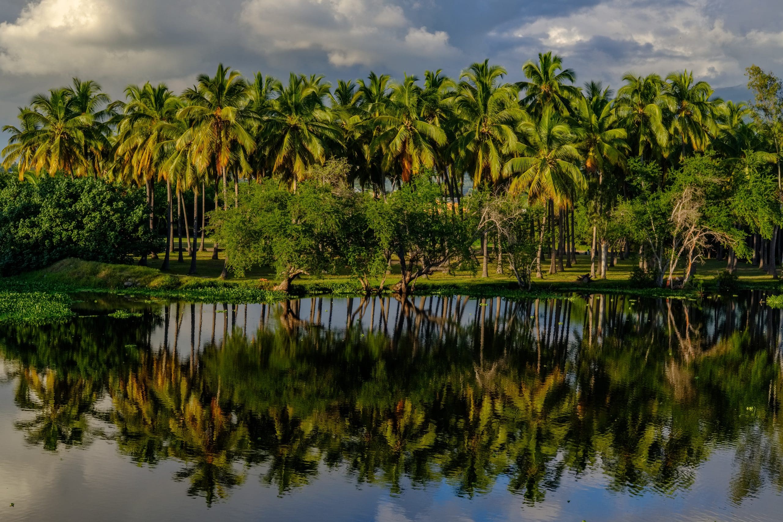 Réserve Naturelle de l’étang Saint-Paul