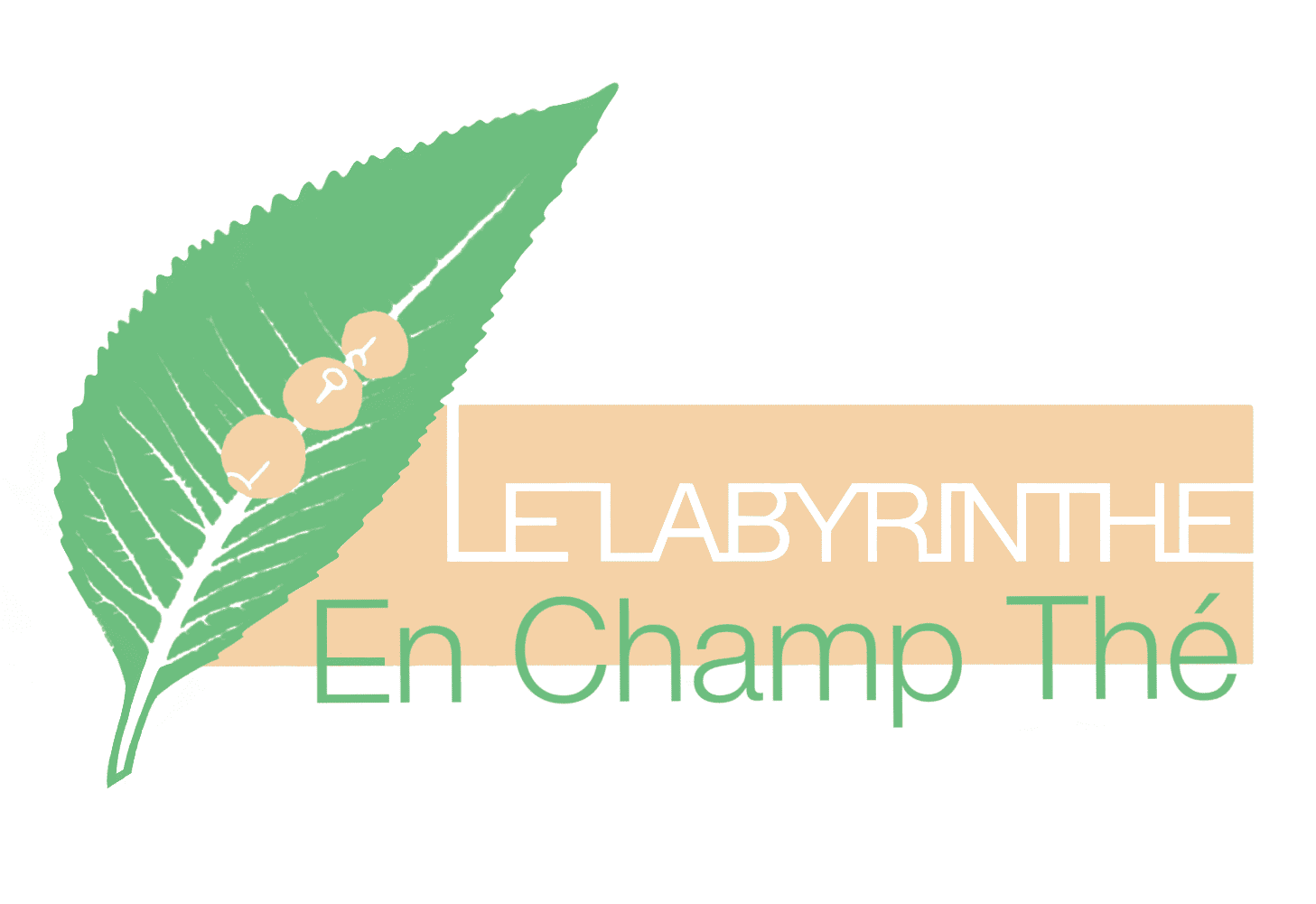 Le Labyrinthe En Champ Thé